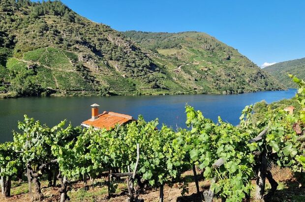 Galiciens Weine und einmalige Landschaften entdecken
