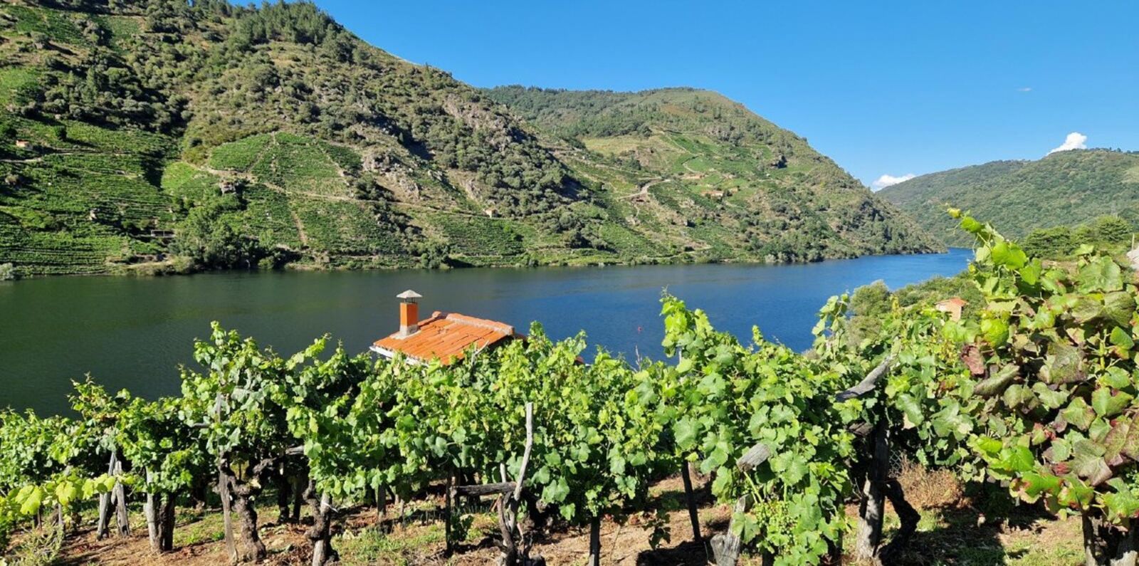 weinreisespanien.de Galiciens Weine und einmalige Landschaften entdecken
